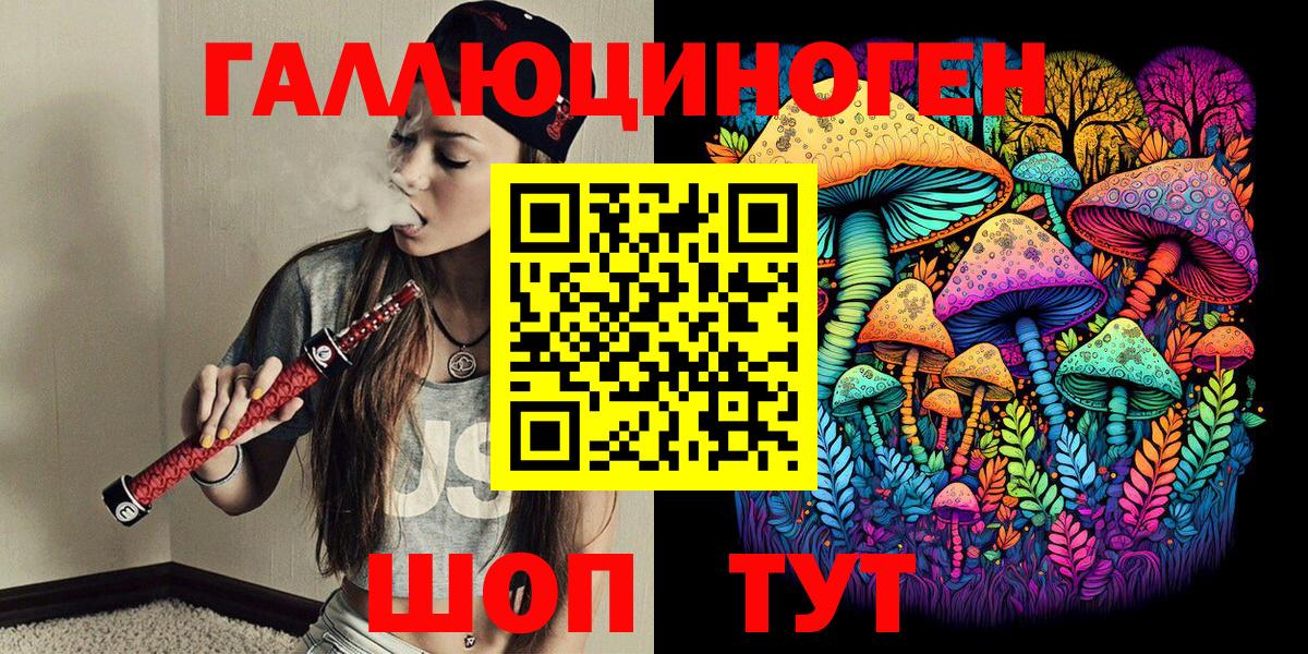 Псилоцибиновые грибы Psilocybe Ачхой-Мартан